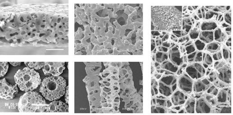 Calcium Phosphate Based Ceramic