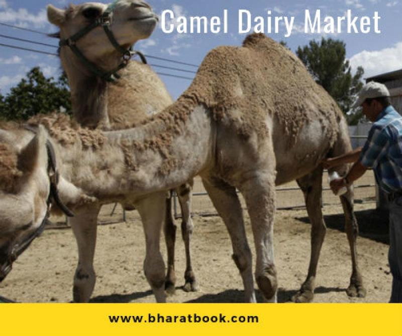 Global Camel Dairy Market Analysis Report 2018-2023