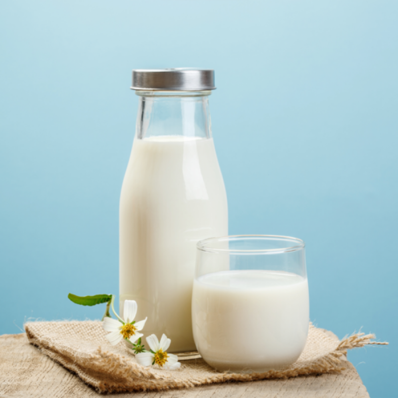Camel Milk Market 