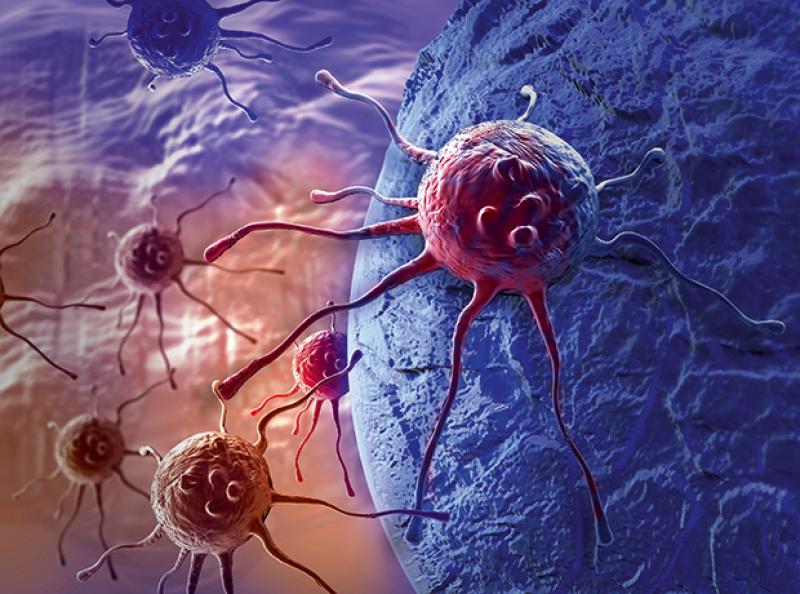 Cancer Biologic Market