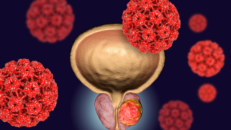  Cancer Biomarkers Market