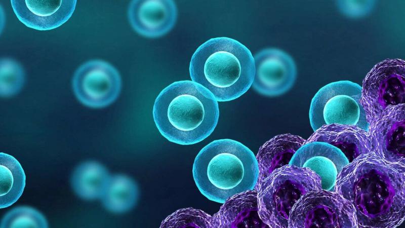 Cancer Immunotherapy Market 