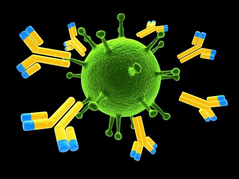 Cancer Monoclonal Antibodies Market