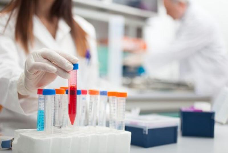 Cancer Tubulin Inhibitors Market