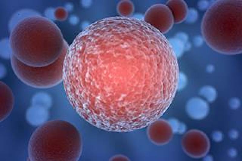 Cancer mTOR Inhibitors Market