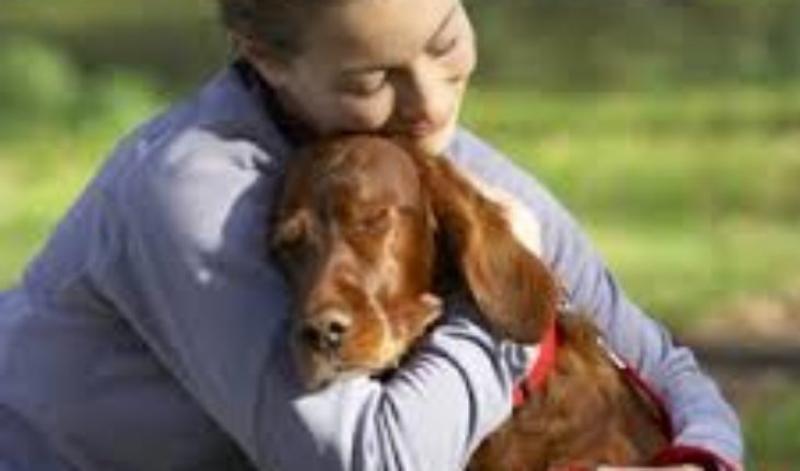 Canine Atopic Dermatitis Treatment