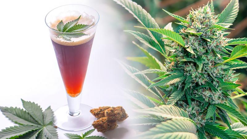 Cannabis Beverages Market