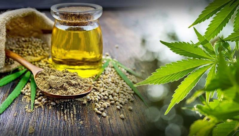 Cannabis Extract Market Cannabis Extract Market