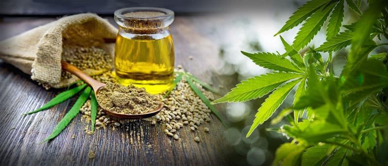 Cannabis Extract Market