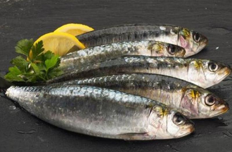 Canned Fish