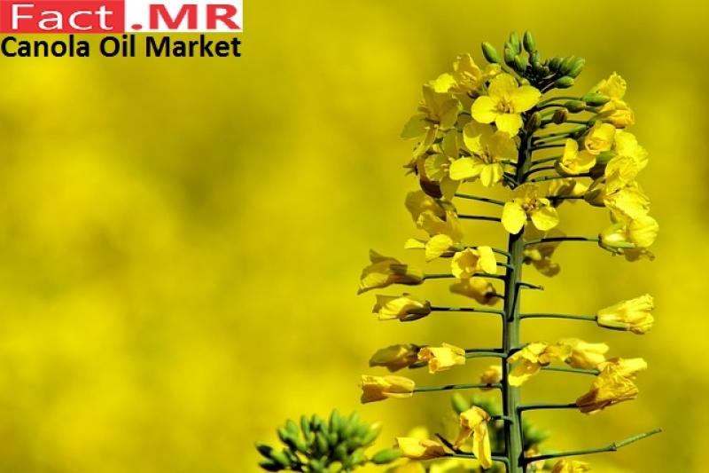 Canola Oil Market - Fact.MR