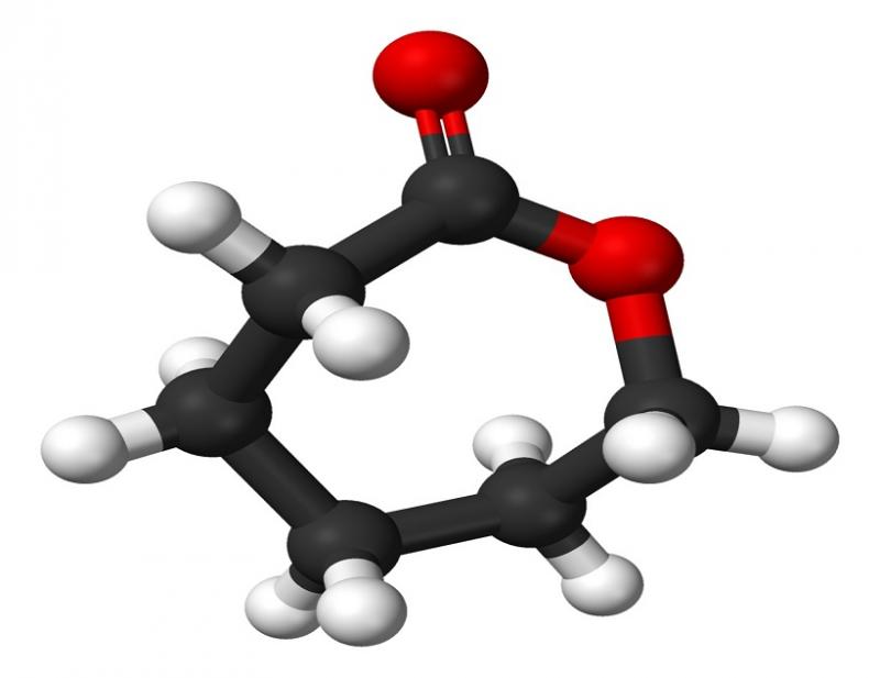 Caprolactone Market