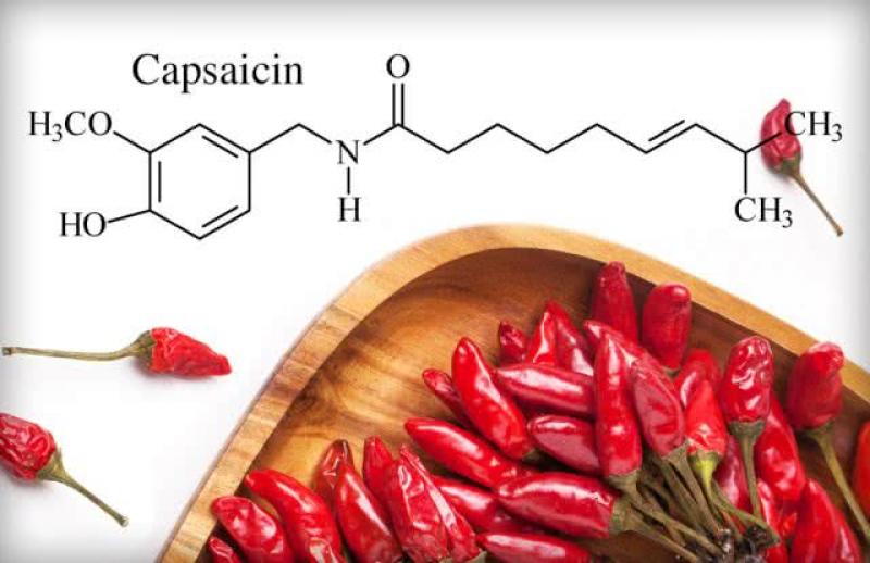 Capsaicin Market