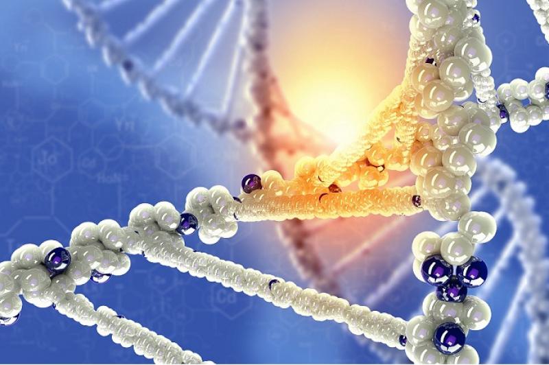 Car T Cell Therapy Market