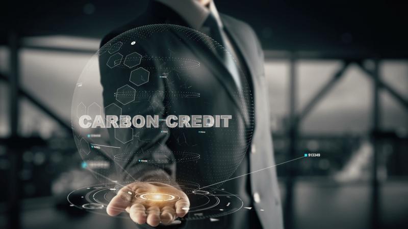 Carbon Credit Market Carbon Credit Market