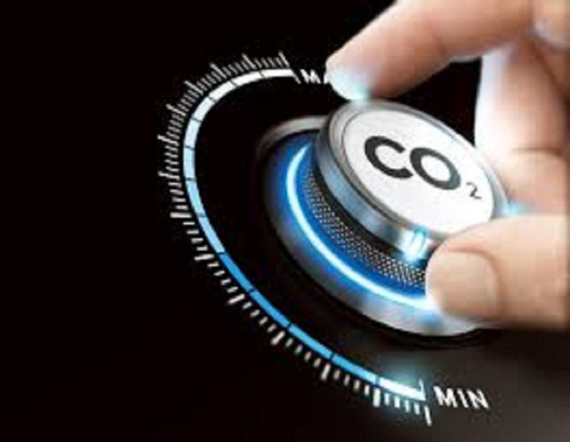  Carbon Emissions (Management)