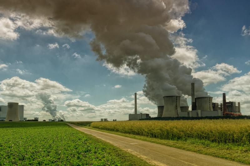 Carbon Offset Market