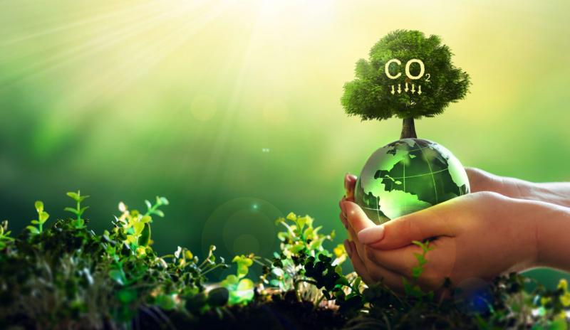Carbon Verification Market