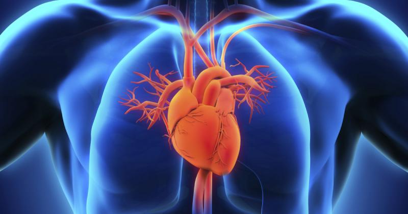 Cardiac Biomarkers Market