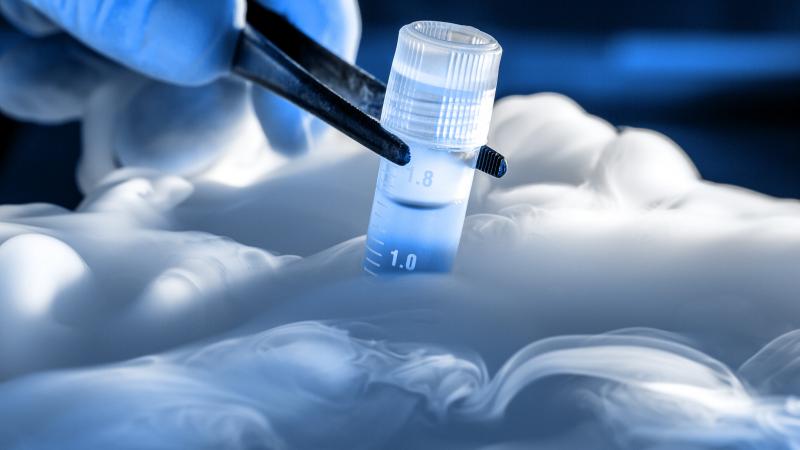 Cell Cryopreservation Market