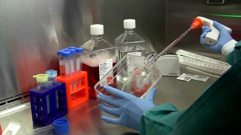 Cell Harvesting Market