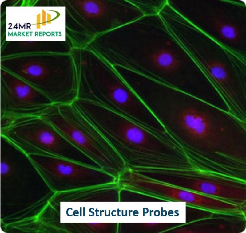 Cell Structure Probes