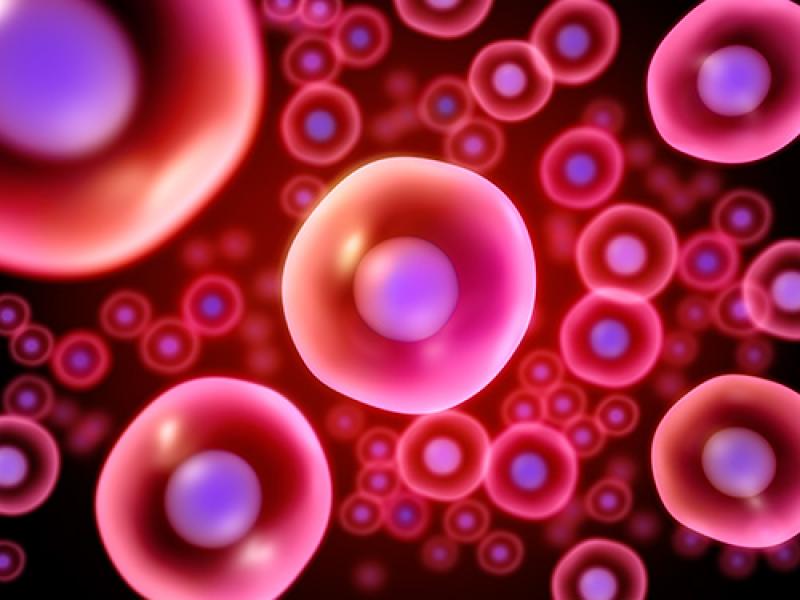 Cellular Analysis