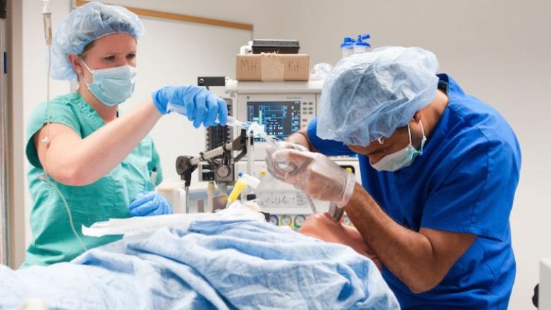 Certified Registered Nurse Anesthetist Email List