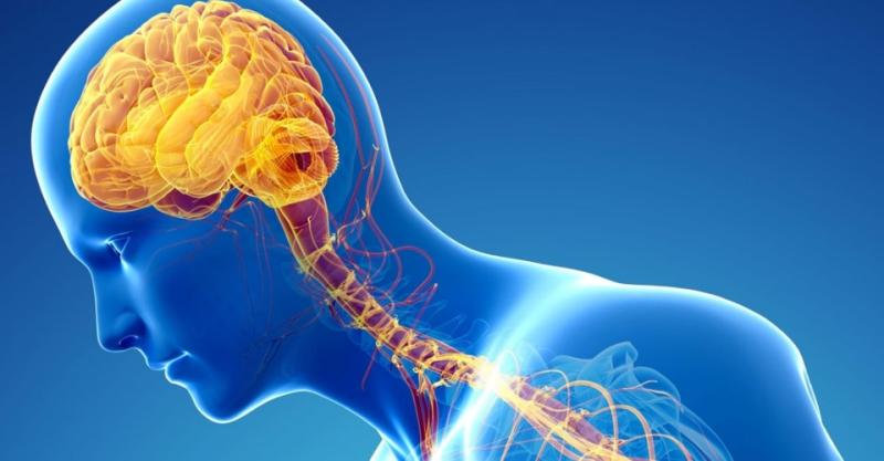  Chaple Disease Therapeutics
