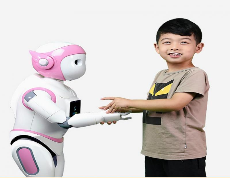 Childcare Robots, Childcare Robots Market, Childcare Robots Market Growth
