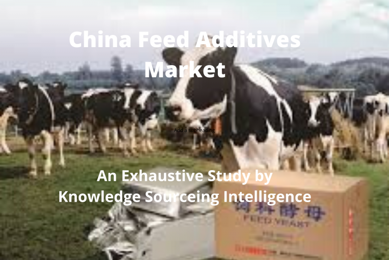  China Feed Additives Market