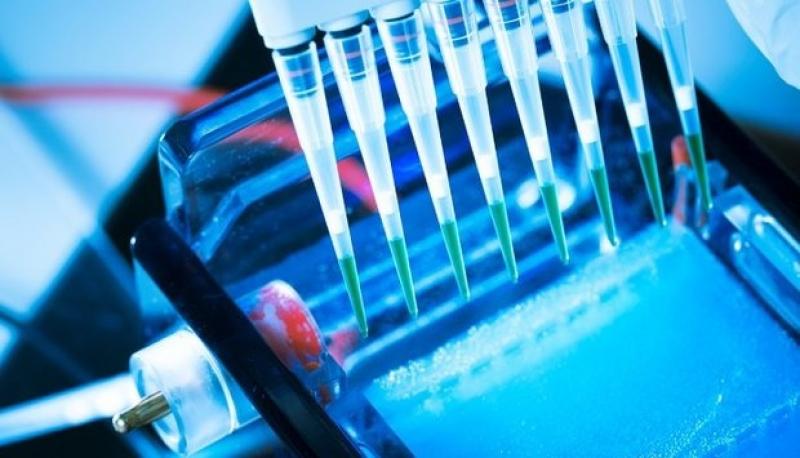 China In Vitro Diagnostics (IVD) Market