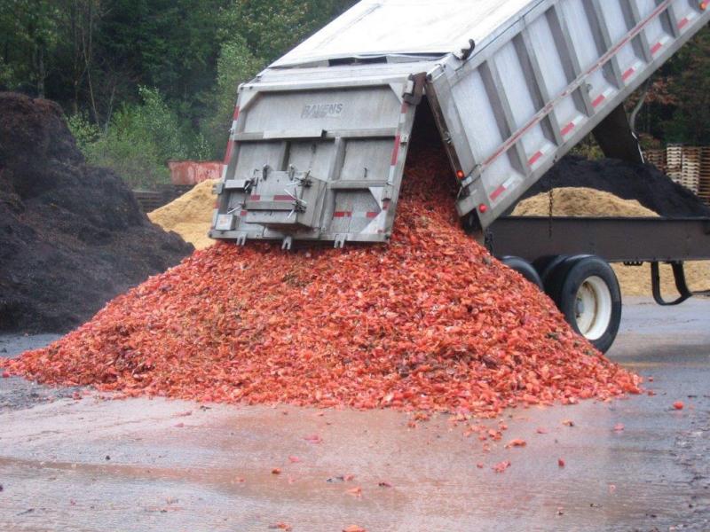 Chitin Fertilizer Market 