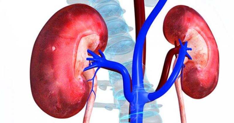 Chronic Kidney Disease
