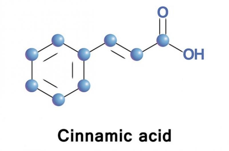 Cinnamic Acid Market