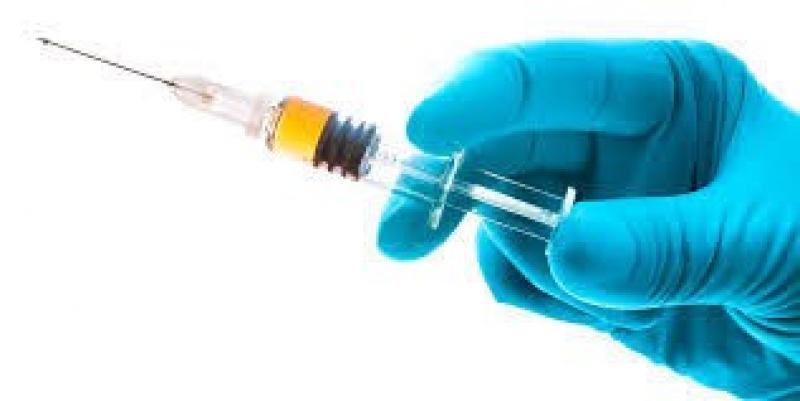 Classical Swine Fever Vaccines