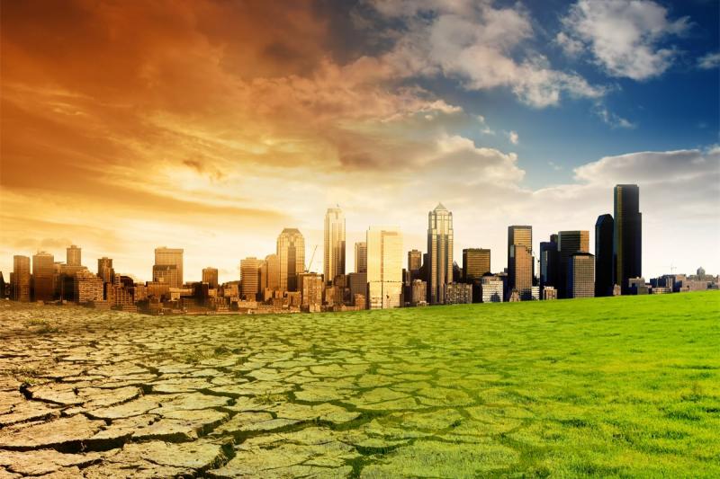 Climate Change Consulting Market Climate Change Consulting Market