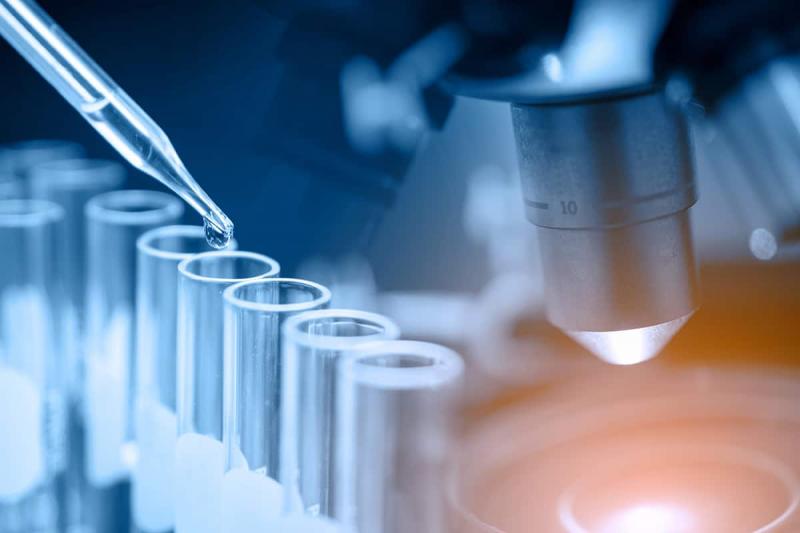 Clinical Laboratory Services Market