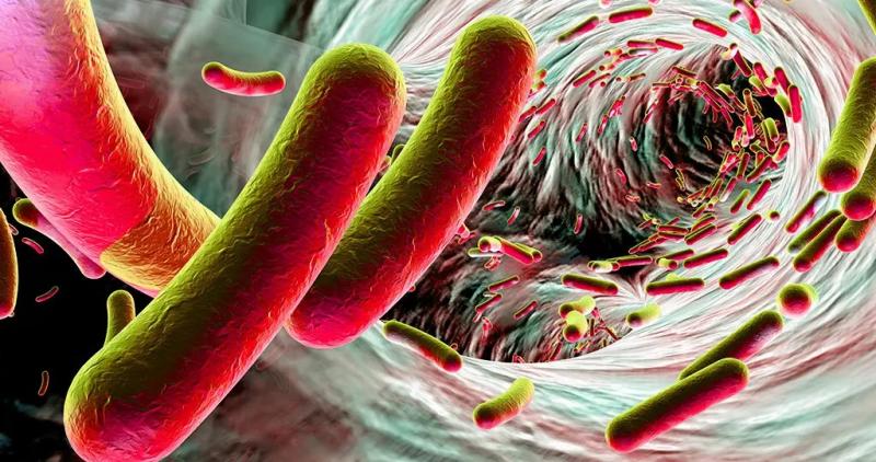 Clostridium Difficile Clostridium Difficile