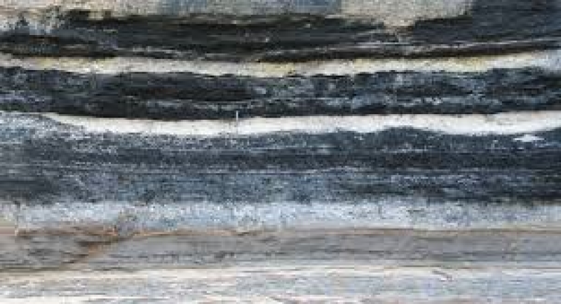 Coal Bed Methane Market Outlook