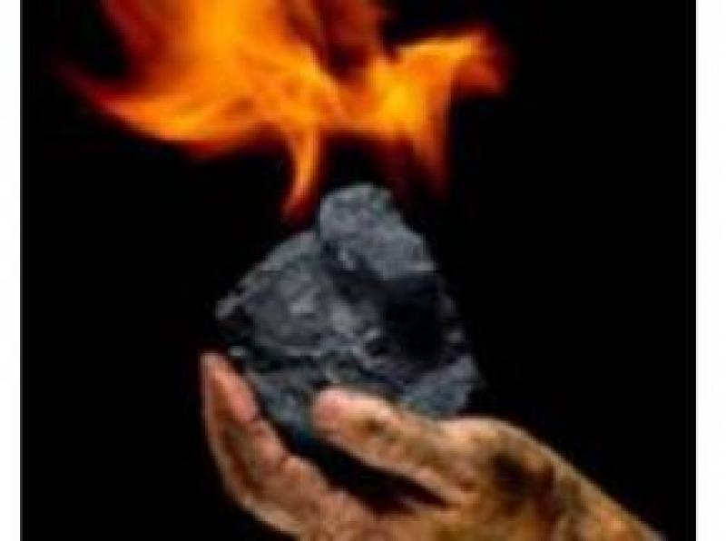 Coal Fuel