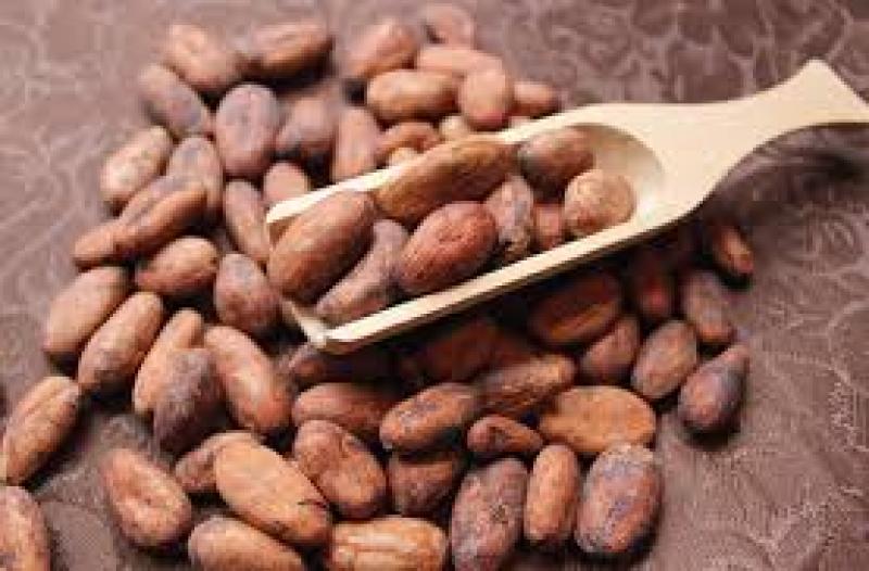 Cocoa Beans Market