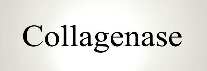 Collagenase Market