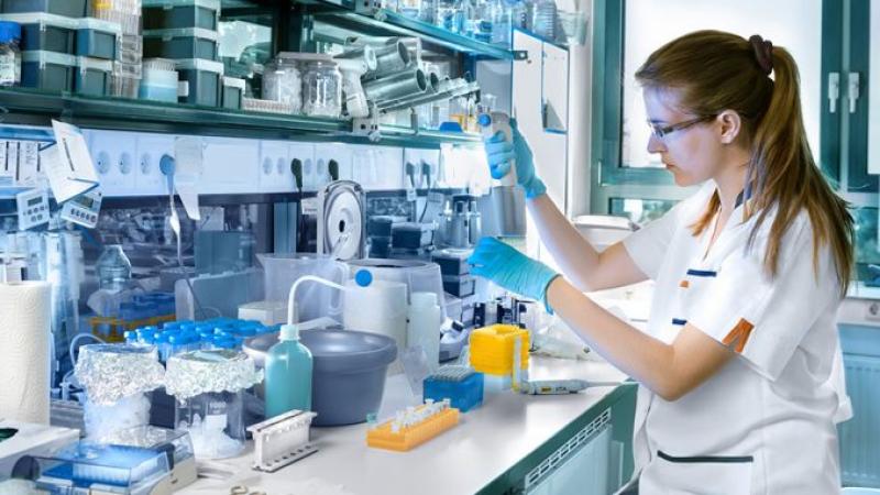 Colloidal Silica Market Expand with Significant CAGR during 2018-2023 Colloidal Silica, Colloidal Silica Market, Colloidal Silica Market Growth