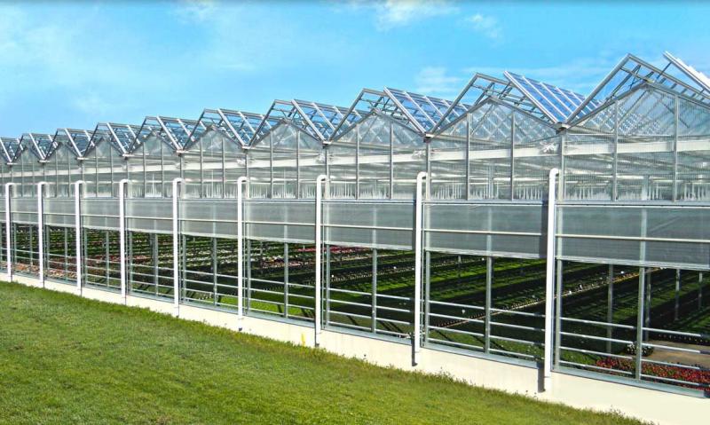 Commercial Greenhouse