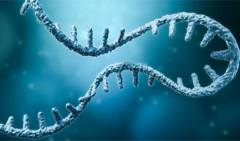 Computational Biology Market