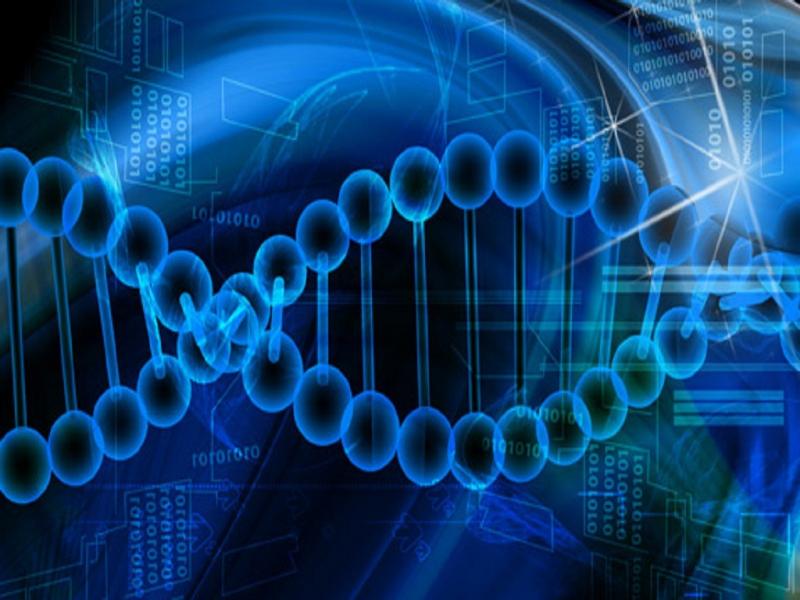 Computational Biology