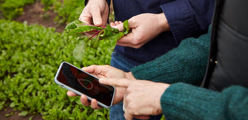Connected Agriculture