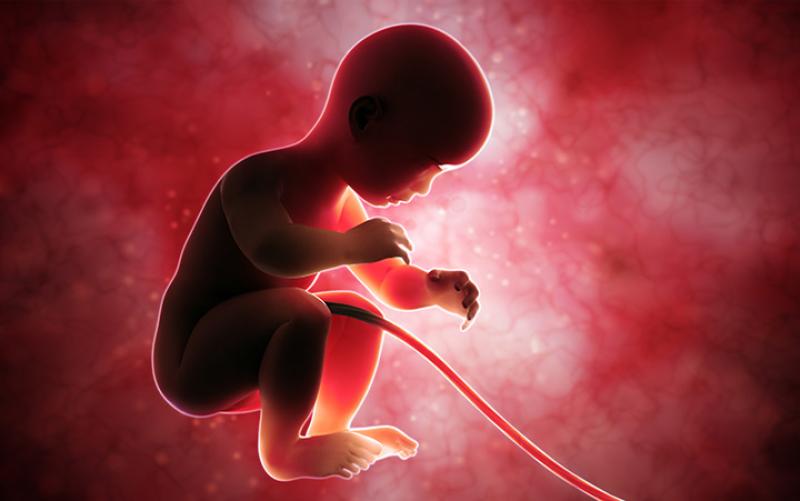 Cord Blood Banking
