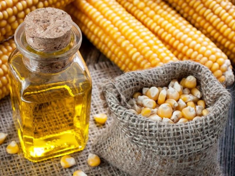 Corn Oil Market